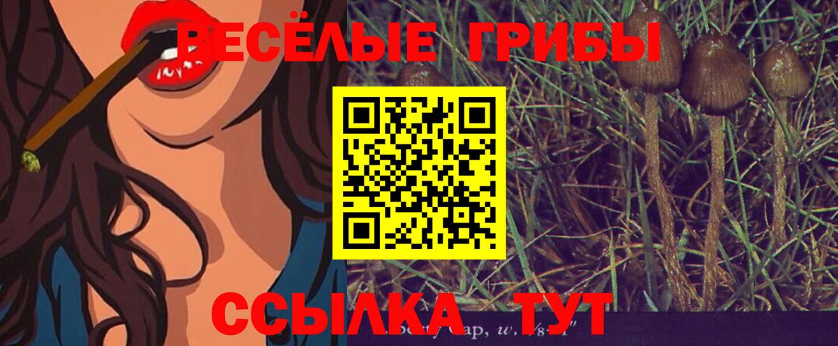 Галлюциногенные грибы мухоморы Балтийск